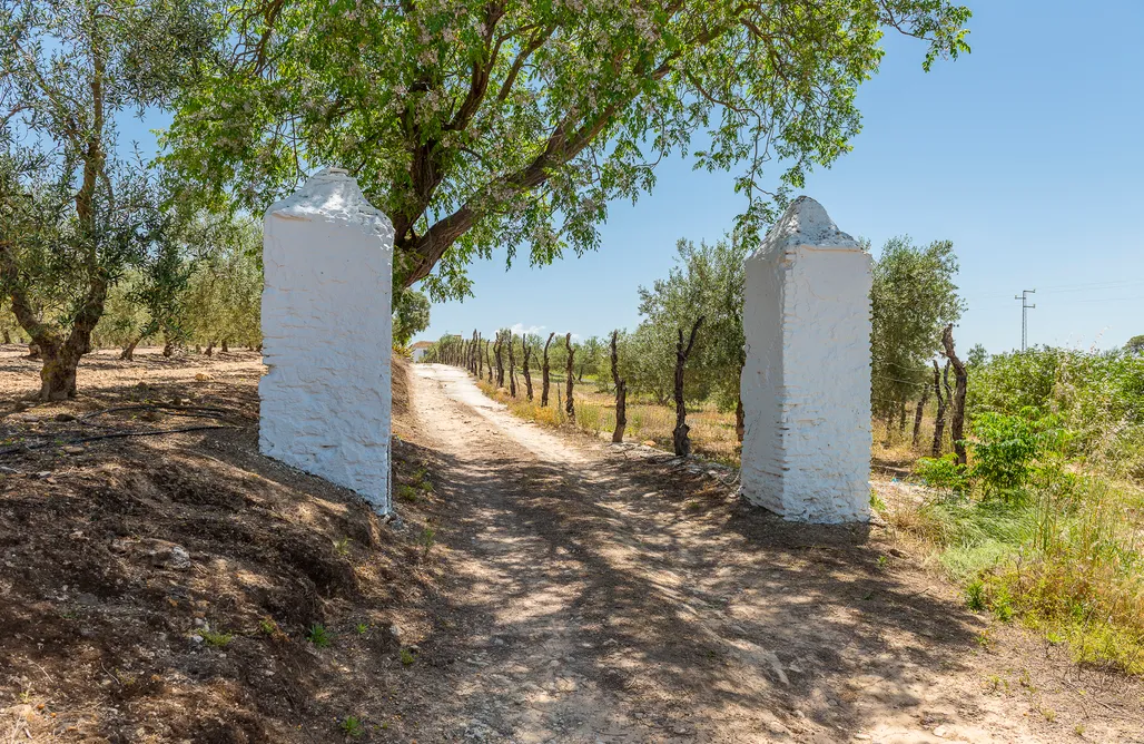 alojamientos AlohaCamp Hacienda San Antonio 1