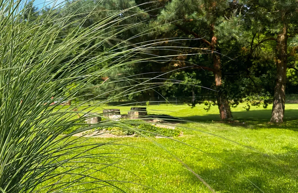 N39 - Apartament z JACUZZI i Kominkiem przy Lesie - Moszna AlohaCamp