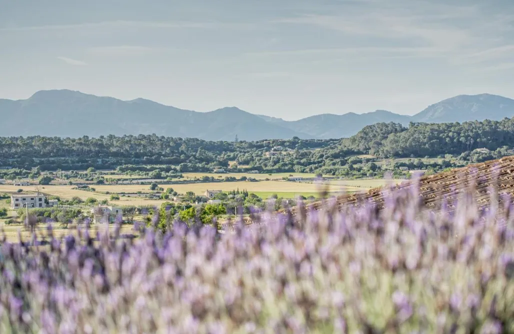 noclegi AlohaCamp Sa Rota den Palerm 4