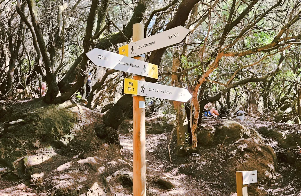 Alojamiento en Las Breñas Cabaña Familiar C1 - Agrocamping Invernaderito Tejina 1