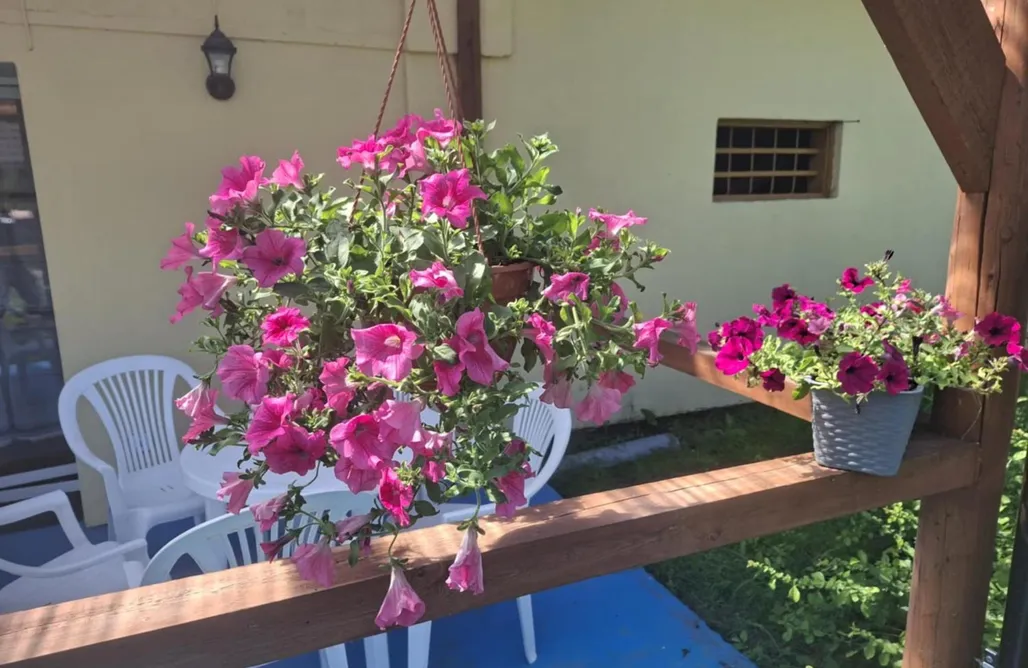 alojamientos AlohaCamp Agroturystyka przy Rajskim Sadzie 5