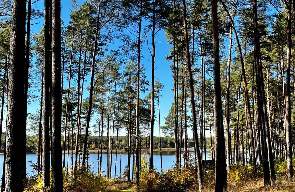 AlohaCamp (7) U Marcjana - domki nad jeziorem na Kaszubach, balia i sauna w lesie 1