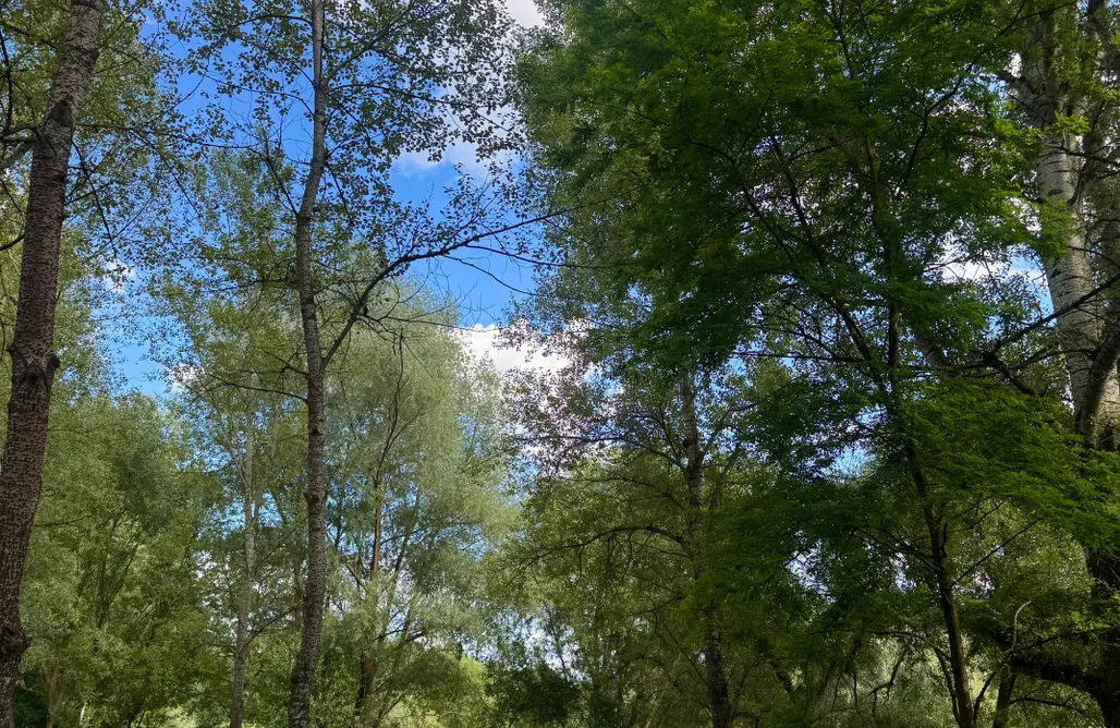 Sanovia Glamping AlohaCamp