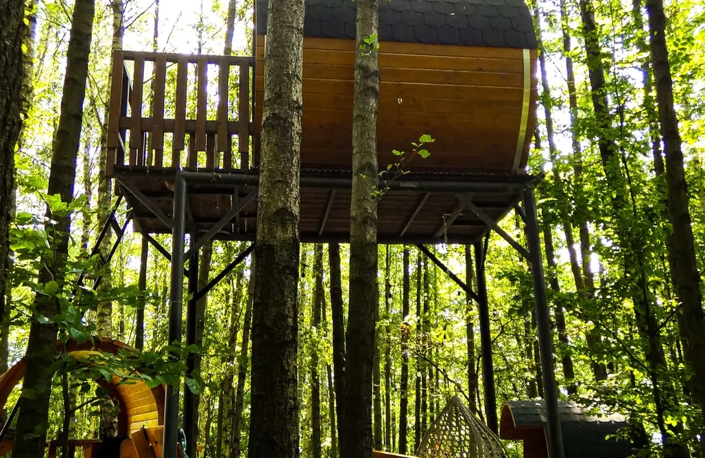 Noc Spadających Gwiazd 2026 💫 Leśne Spanie Glamping domek na drzewie  1