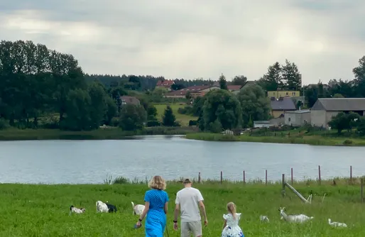 Zdjęcie obiektu SeliRaj - Zwierzaki, Natura i Prywatne Jezioro na Kaszubach