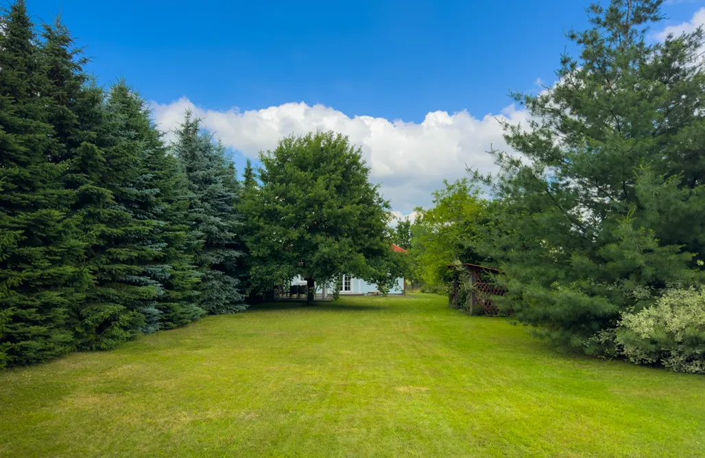 noclegi AlohaCamp Błękitne Wzgórze 4