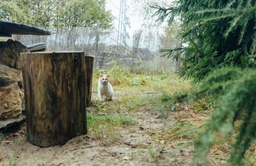 Zdjęcie obiektu Domki na Widoku  - jacuzzi, grill i rowery