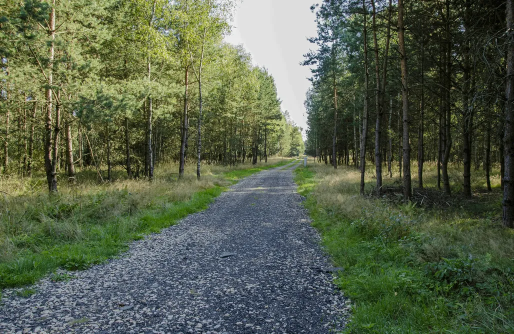 Jodłowiec Domki Dom na krańcu lasu 2 1