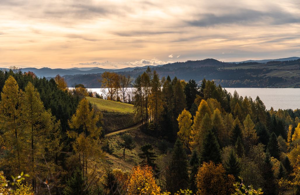 noclegi AlohaCamp Górska Ostoya - Adults Only 4