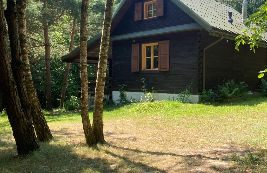 AlohaCamp Flying Moose/Latający Łoś 2