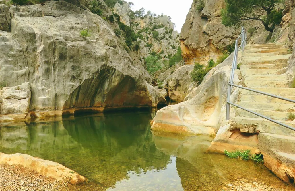 alojamientos AlohaCamp Cabaña Ganesha – Refugio de Madera en Kurkum Farm 4