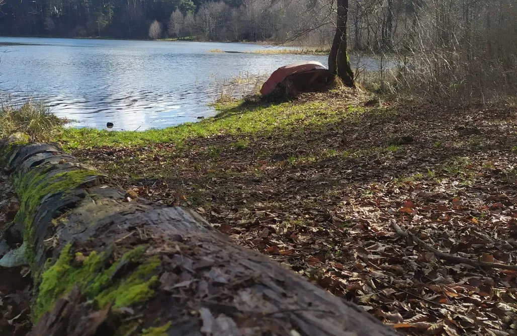 noclegi AlohaCamp Zbychowskie Zacisze 1