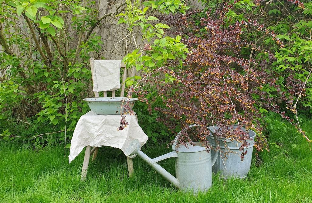 AlohaCamp Dom na Warmii-Siedlisko Mozaika 1