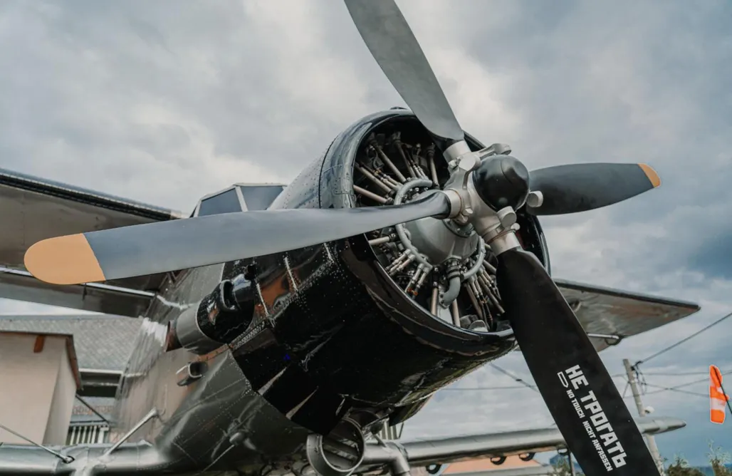 Flugzeug im Garten AlohaCamp