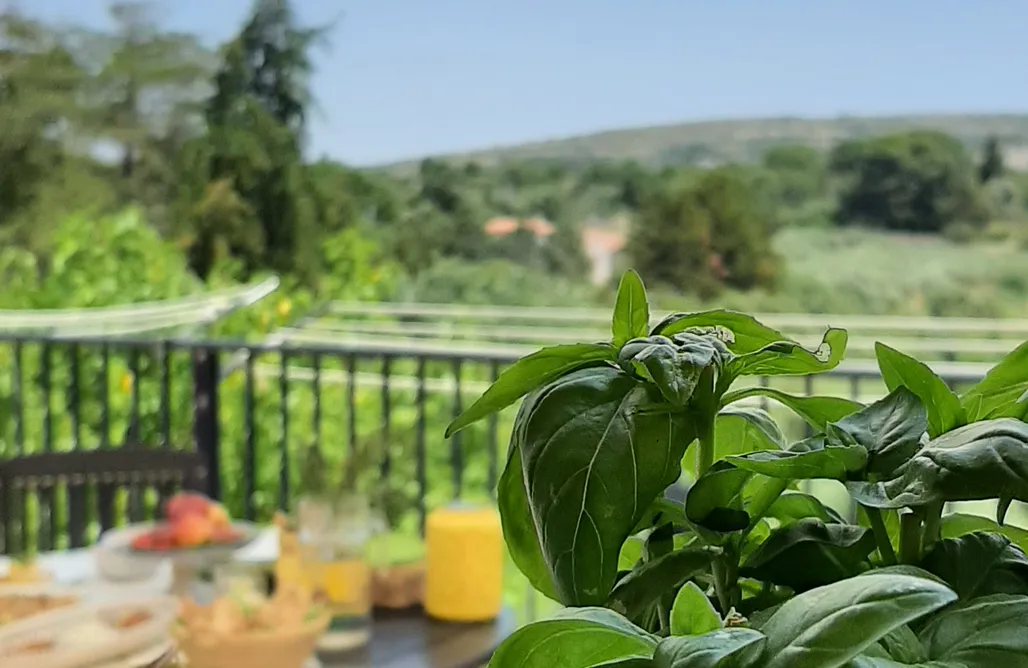 AlohaCamp Ala Blu  1