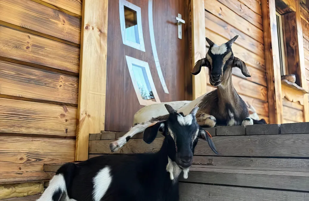 noclegi AlohaCamp Farma Puchałowo 5