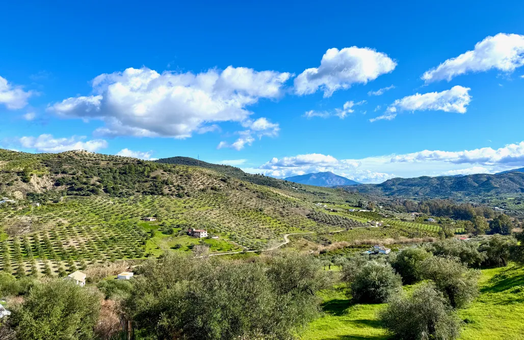 noclegi AlohaCamp Finca Moderna – Family Getaway in Tolox 5