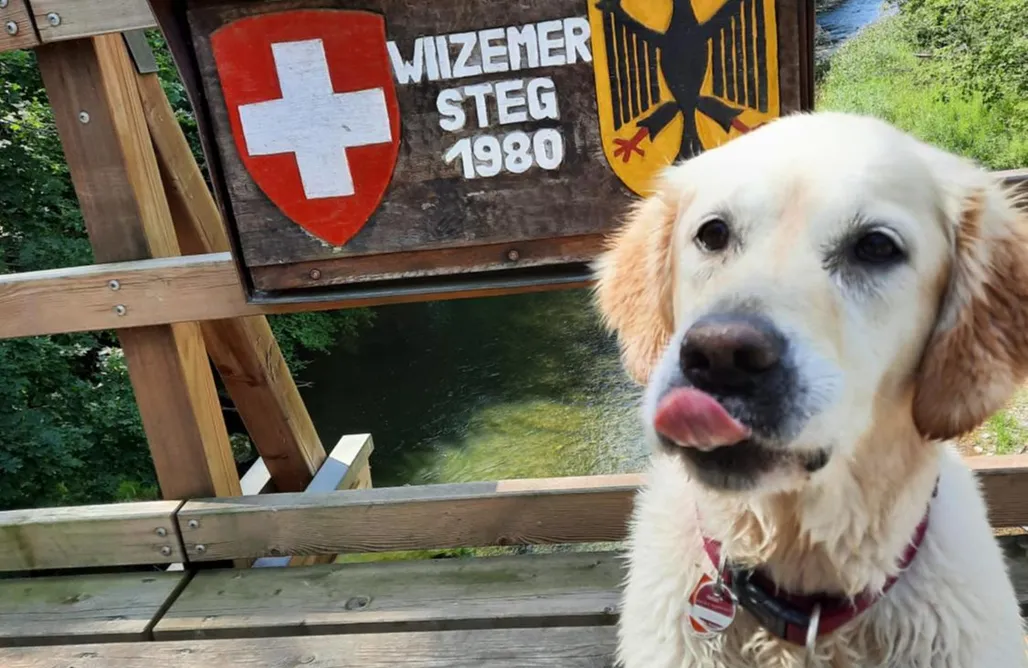 Ferienhaus am Schluchtensteig AlohaCamp