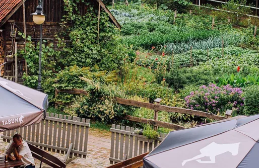 Zdjęcie obiektu Tabun