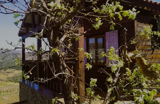 Imagen de Cabaña Violeta