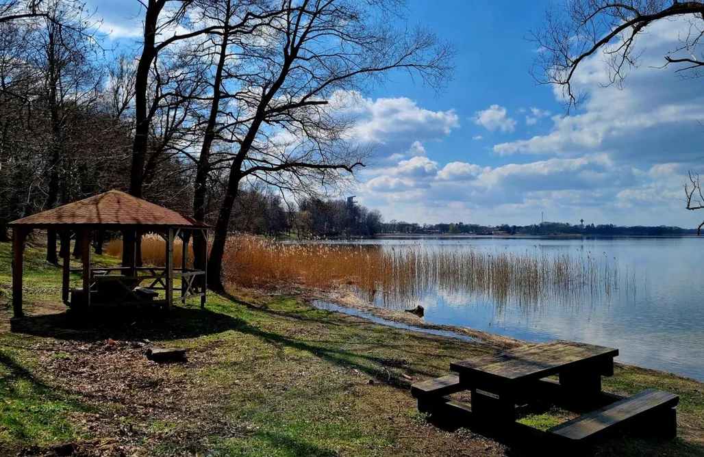 Split Chorwacja Czereśniowy skrzat II 3