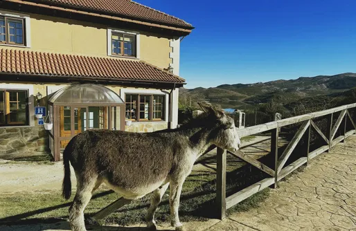 Imagen de Hotel Pico Espiguete