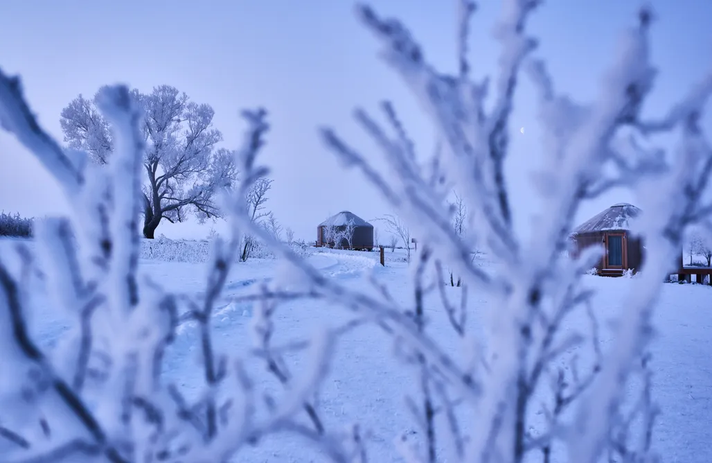 Dolina Jurt Glamping Giżycko AlohaCamp