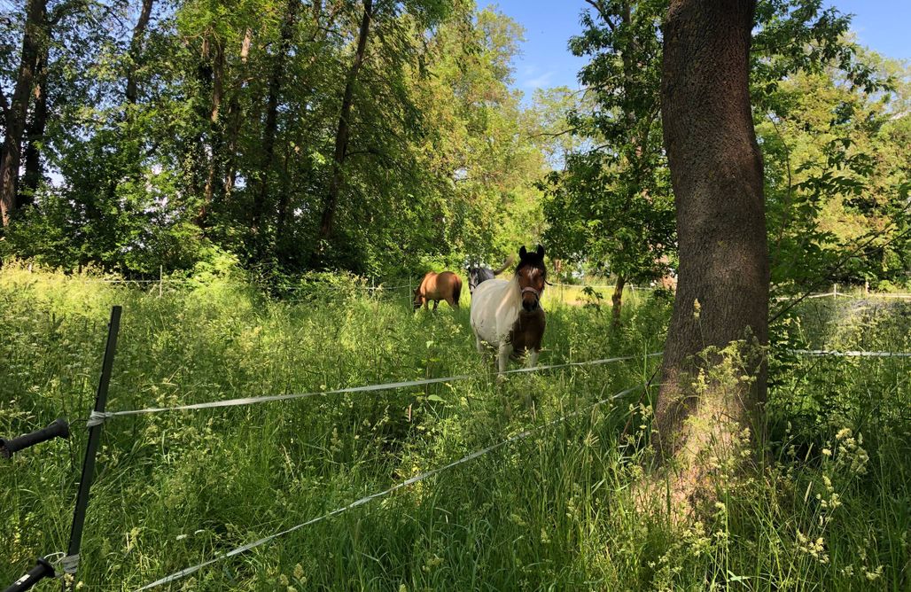 noclegi AlohaCamp Ferienwohnung auf dem Gutshof Kilombo Kleinow 5