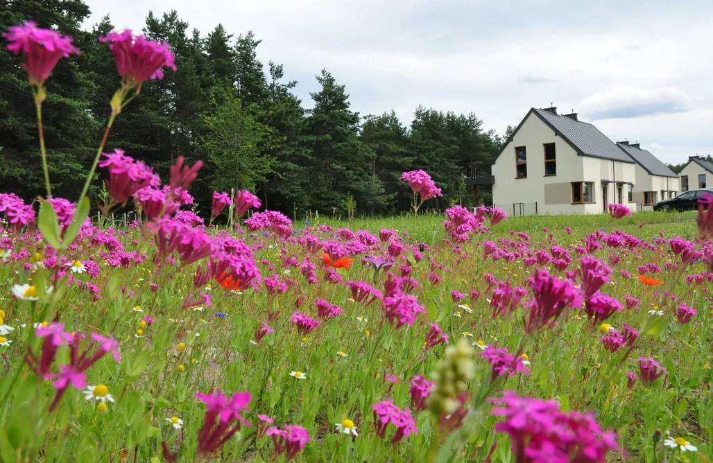 Hébergement AlohaCamp Moje Miejsce Jura 5