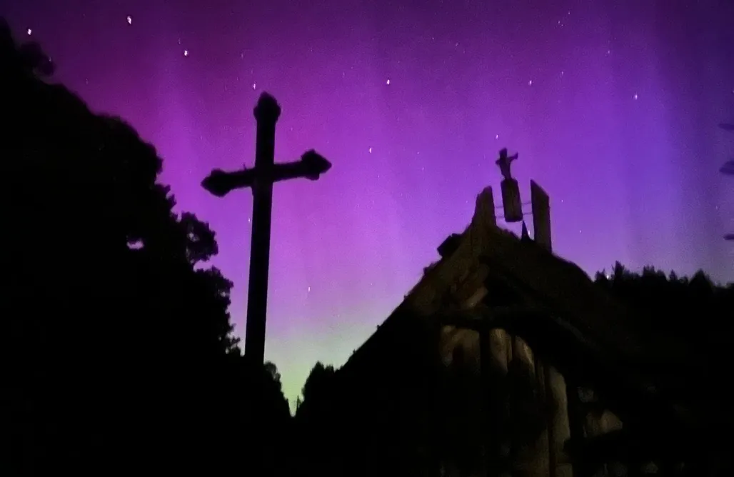 noclegi AlohaCamp Leśna Przystań  1