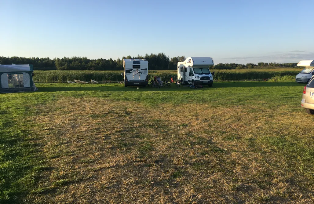 noclegi AlohaCamp Miejsce kamperowe i namiotowe - Agroturystyka nad Biebrzą "SOŚNIAKI" 4