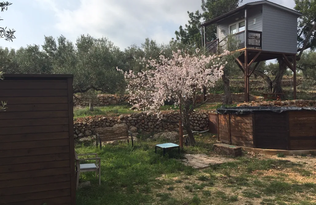 Alojamiento en Aldea Casa árbol - Ecoturismo Delta del Ebro 1