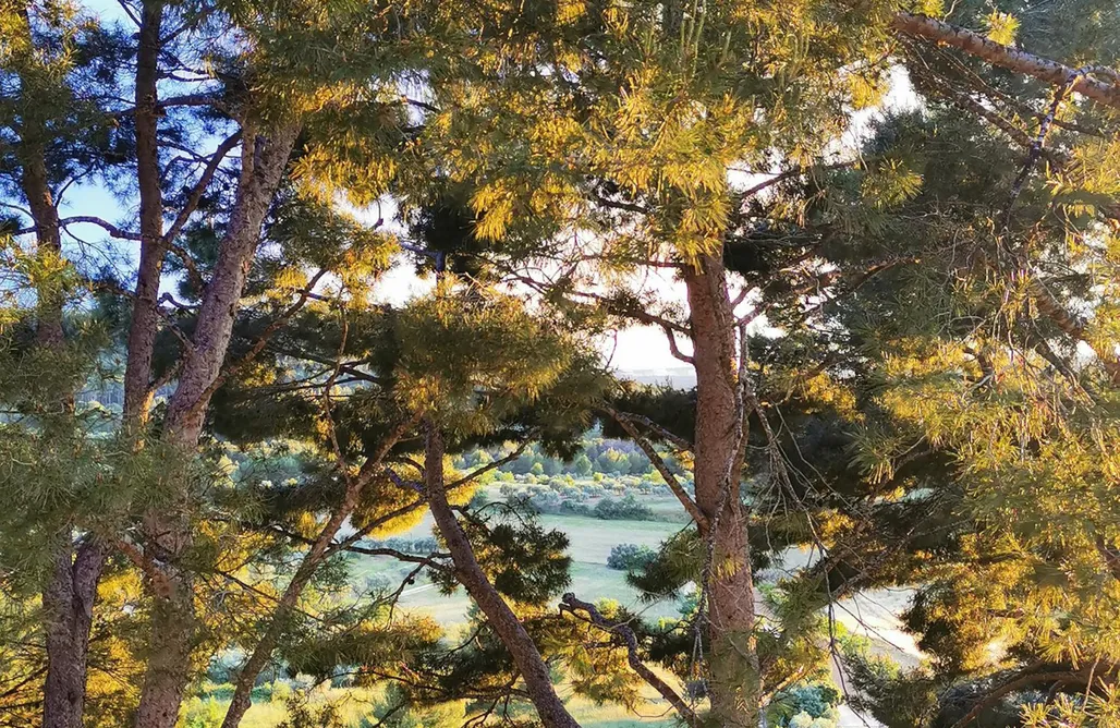 alojamientos AlohaCamp Le Mas des Roches à Velaux 4