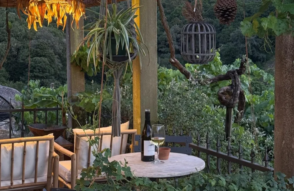 Alloggio AlohaCamp Casiña Raíz Entre viñas y cielo Ribeira Sacra 5