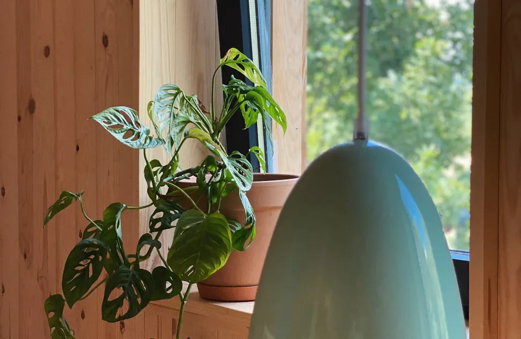 Glamping Homestead Zagajnik 1