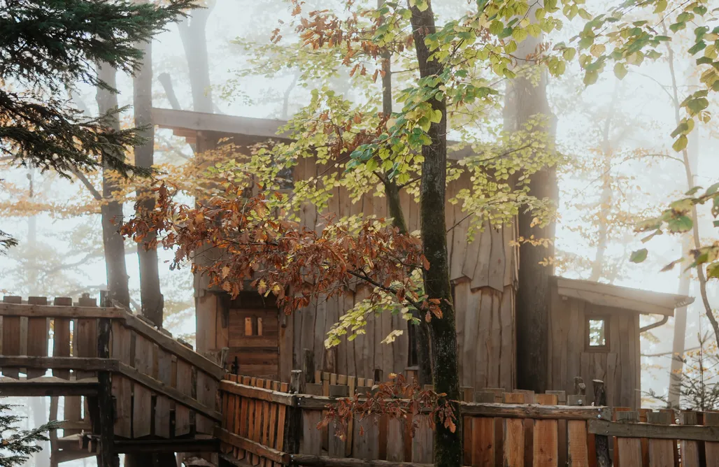 Glamping La Cabane dans les arbres du Domaine de la Forestière 3