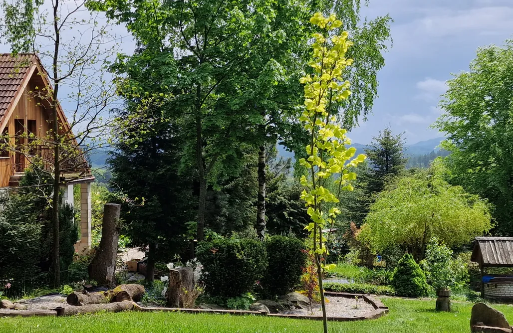 AlohaCamp Jaworowy Stok 1