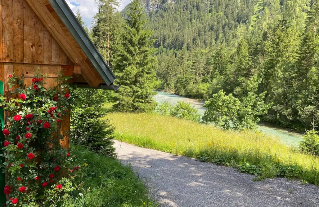 Hébergement AlohaCamp Steyr River Lodge - Paradis dans un cadre isolé 5
