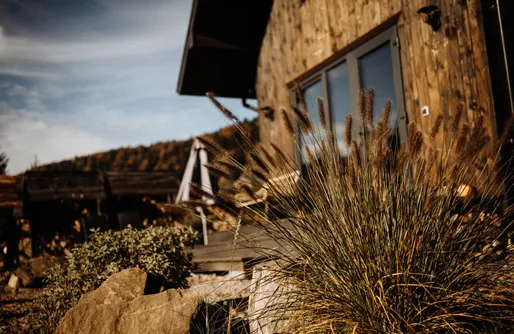 Zdjęcie obiektu Szumilove Domki z saunami