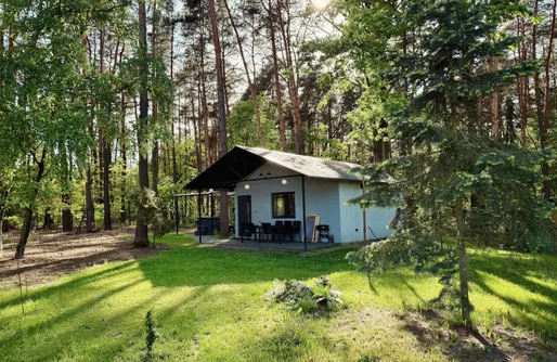 Zdjęcie obiektu Żurawie Malwy 