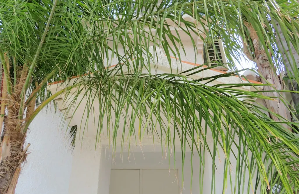 Alojamiento en Agullent Casa Azahar 3