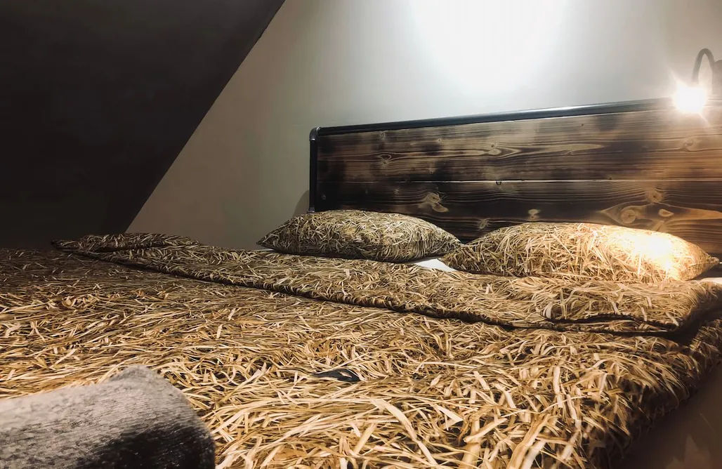 AlohaCamp Ekologiczny domek nad jeziorem 3