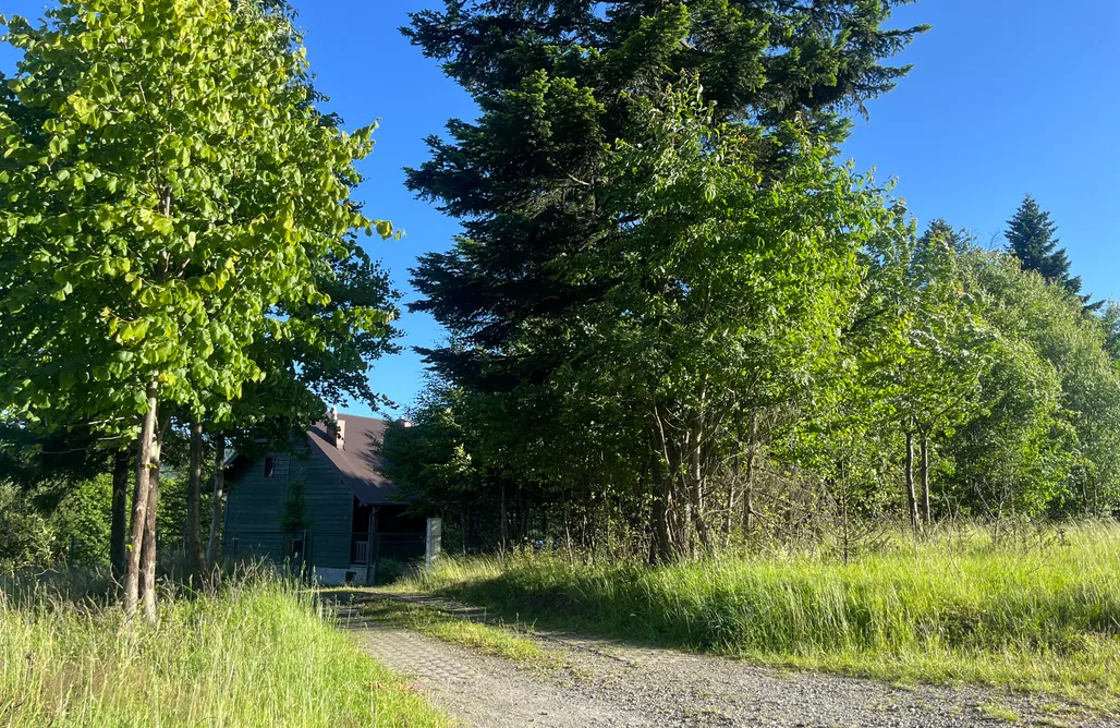 Kamesznica Domki Chata Misiorka 3