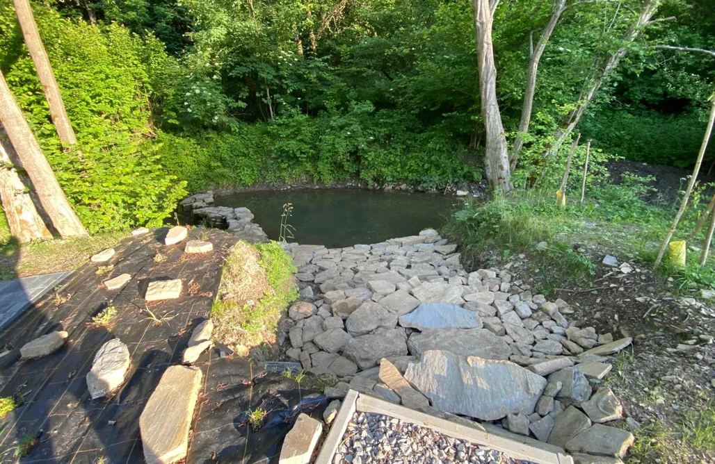 Wysoczany noclegi Niedźwiedzia Dolina 1