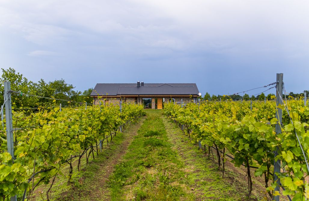 AlohaCamp accommodation Miejsce kamperowe - Winnica Pod Jabłonią 2