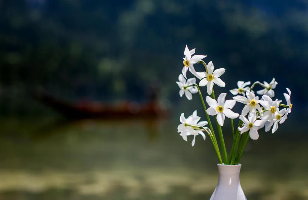 AlohaCamp Vier-Zimmer-Haus 1