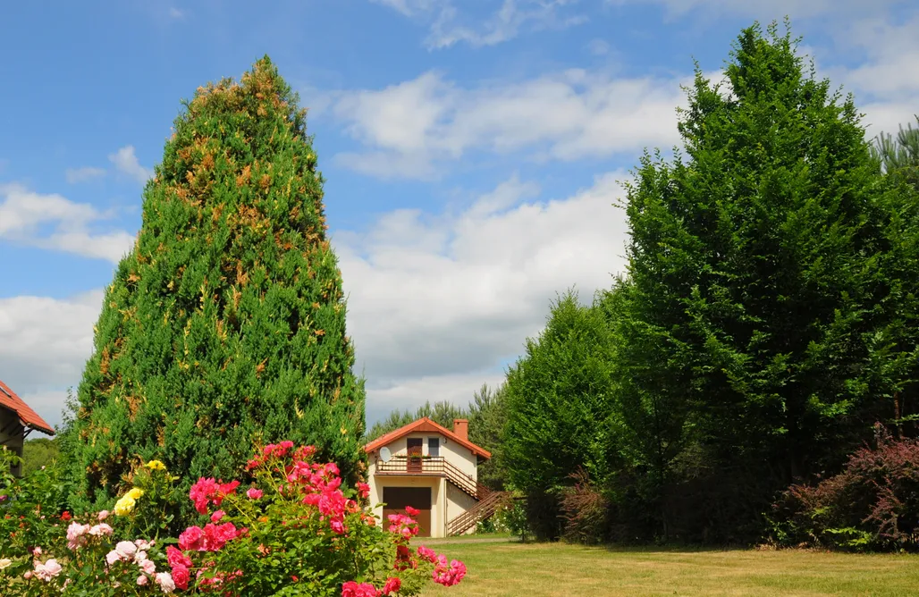 noclegi AlohaCamp Szmaragdowy Raj 2