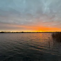 Małgorzata ospitante Sen Topoli