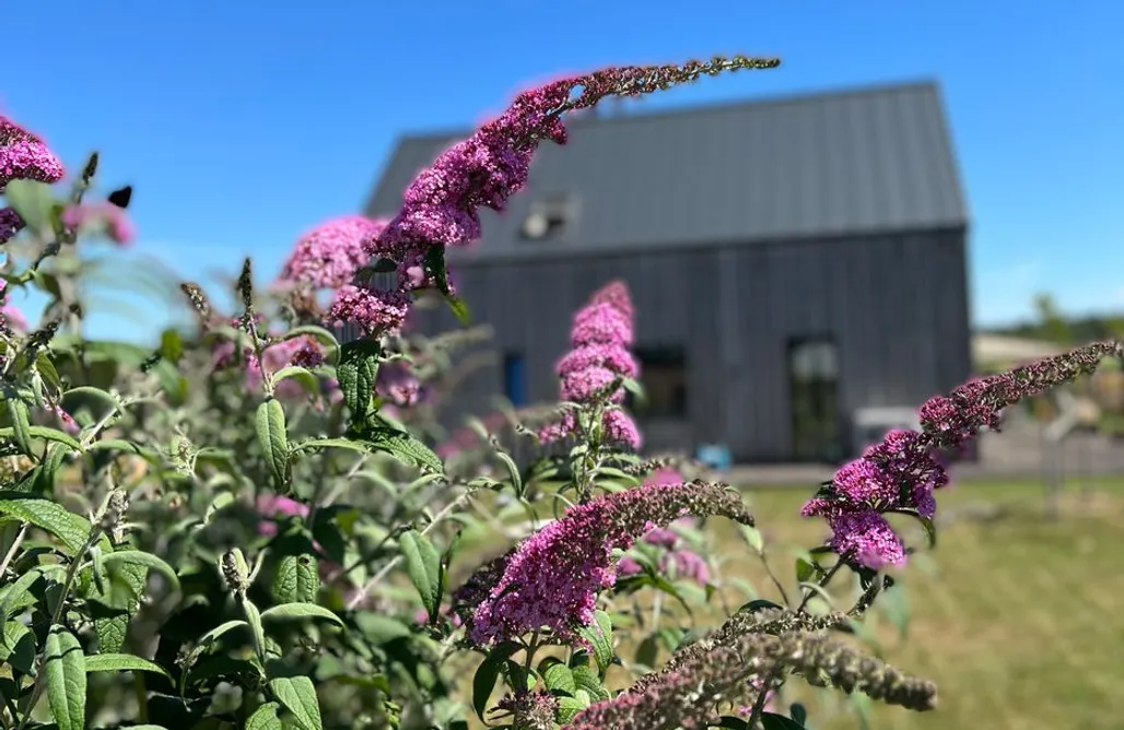 AlohaCamp Stodoła Majołka 1
