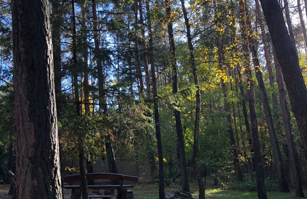 Osiedle Wilga noclegi Domek w ptasim gaju 1